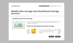 cloud-based and mobile storage